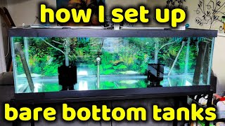 HOW I SETUP BARE BOTTOM TANKS