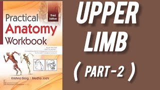 practical anatomy filled book 📚 (upper limb ) / part -2