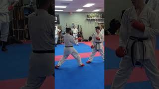 🥋 😎 #karate #martialarts #mma #ufc #shorts #short #youtubeshorts #shortvideo #subscribe #youtube