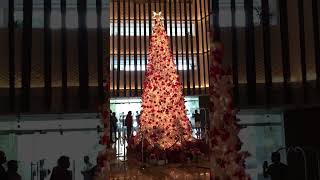 Big Christmas trees 🎄 || #hotel #hilton #superb #ambience #viral 🥰