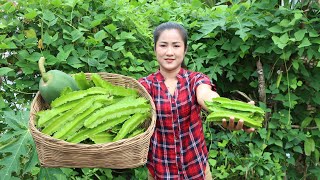 Winged bean is good for my recipe today / Harvest winged bean for cooking / Cooking with Sreypov