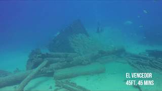 Scuba Diving in Cabo Pulmo Marine Park