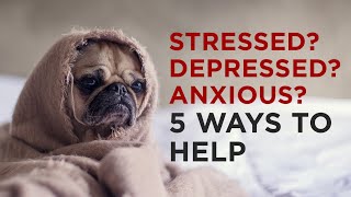 5 Ways To Relieve Stress, Depression, Anxiety