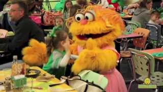 Sesame Street Character Celebrate St. Patrick's Day