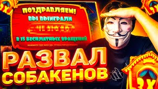 РАЗВАЛ СОБАКЕНОВ НА 200К+ | DOG HOUSE