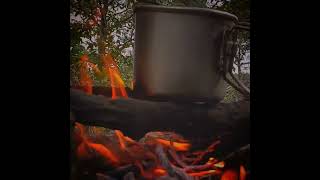 Relaxing Video: Campfire By The Forest