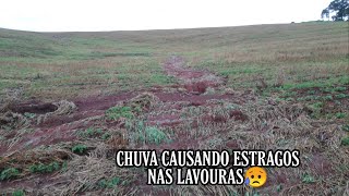 Mostrando os estragos na lavoura feitos pelas chuvas!