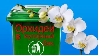 Как омолодить орхидеи. Выбросить или оставить.Вторая жизнь цветам.