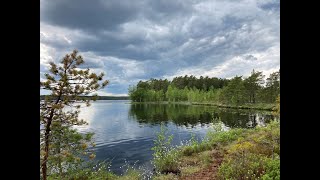 Vajosuon vaellus, Kurjenrahkan kansallispuisto10.-12.2022