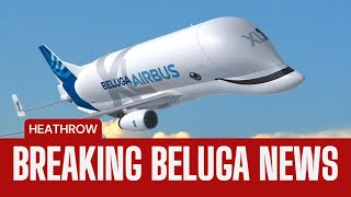 Beluga Plane Lands at Heathrow Airport for First Time Ever