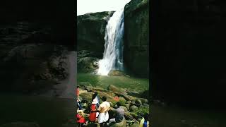 Athirappilly waterfall അതിരപ്പിള്ളി #chalakkudy #kerala #shorts #athirappillywaterfalls