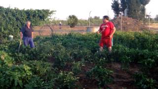 en la huerta con Manuel Privado González "Gorrilla"