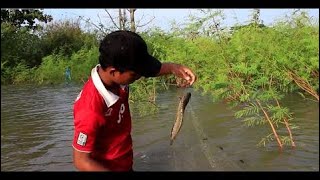 Net Fishing at pailin Province - Khmer Cast Net Fishing -Cambodia Traditional Fishing ( Part 46)