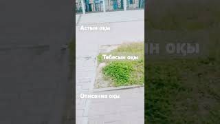 Бүгін сондай әдемі болып тұрсын занееееем