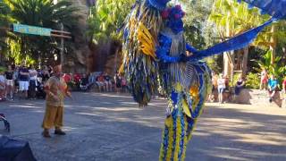 The Final Show of Kareebu Jungala at Busch Gardens!