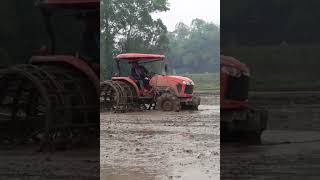 Thiết bị nông nghiệp kubota tractor m6040su #Short #Shosts @locnhitv #kubota #tractor #maycay #farm