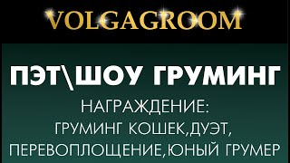 VOLGAGROOM 17.02: награждение 1 половина дня