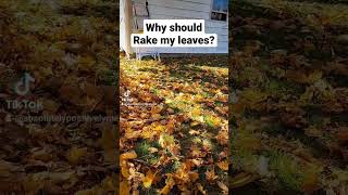 legitimate reason. like is there any reason other then "it makes the yard look neater" #leaves