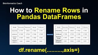 How to Rename Rows in Pandas Dataframes