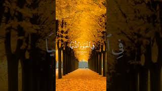 سورة الكهف‎ - اسلام صبحي -- #اسلام_صبحي #القرآن_الكريم #سورة_الكهف #آية_القرآن  @Islamic_Channel482