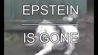 epstein is gone