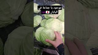 الكرنب في اليابان بشكل مختلف 😂🇯🇵#shorts #explore