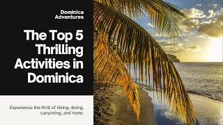 The Top 5 Thrilling Activities in Dominica