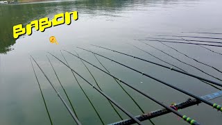 MANCING NILA BABON SPOT KALI LANANG || MANCING WADASLINTANG TERBARU