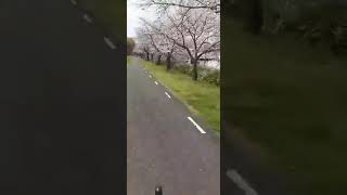 Monday bike ride in Japan