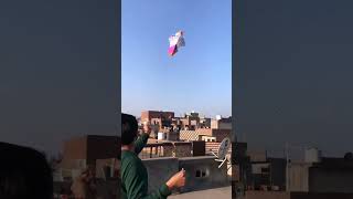 Dabbi me dabbi 6 tawa patang #patang #kite #youtubeshorts  #trending