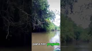 MACACO AMIGO #fishing #pescador #monkey #pescaria #amazonia #incrível #viral #caiaque #dangerous