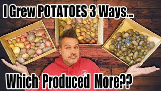 I Grew Potatoes 3 Ways to See Which Method Is Best // Harvest Time!