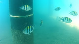 Under the Boardwalk