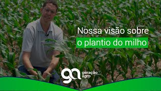 Nossa visão sobre o plantio do milho