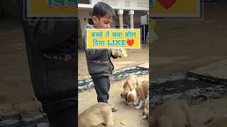 Heart Touching Song #shorts #youtubeshorts #viral #status #help #dogs  #trending #dil #rajsthan