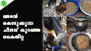 ഞാൻ ആടിന് കൈതീറ്റ ഉണ്ടാകുന്ന രീതി|How i make goat feed|aadu valarthal|CJ Farms