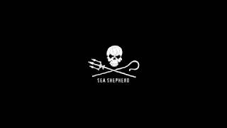 SEA SHEPHERD OPÉRATION OCÉAN - COURT