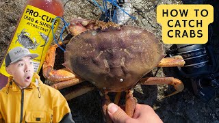 How to Crab Snare Comprehensive Guide 2024 | San Francisco Bay Area | Dungeness Crabs