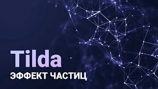 Как сделать анимированный фон из частиц в Tilda Zero block с помощью Patricles JS