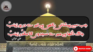 Ali Abbas || Shahadat Bibi Zainab s.a || Imambargah Haji Malik Rehman Peshawar