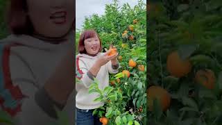 Watch me a satisfaying videos of agriculture growing fruit, vegetable, carrot, corn, onion etc 91