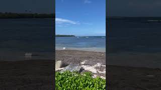 Las Croabas Fajardo Puerto Rico #youtubeshorts #subscribe #trending #viral #beach