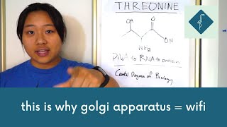 Threonine ft. structural motifs explanation