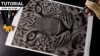 REALISTIC Leopard Drawing | Charcoal pencil Drawing | TUTORIAL for Beginners 😍