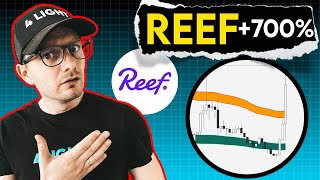 REEF Price Prediction . +700 %