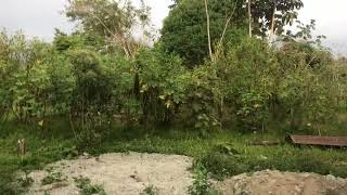 Sehr innovative Wasserspardusche. für die Regenzeit in Costa Rica