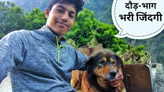 नई मूर्तियां की स्थापना मां राजेश्वरी के मंदिर में ||Pahadi lifestyle vlog||cool pahadi||Anuj khoyal