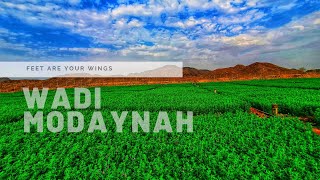 Visit To Wadi Modaynah | Ras Al Khaimah | Dam| 4K| Cinematic| Camel & Sheep Farm | Near Wadi Showka