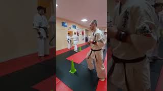 Увеличение скорости удара ногами в каратэ. Exploding leg punch in karate #martialarts #kick #warmup