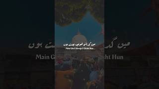 KHWAJA GHARIB NAWAZ, DARGAH SHARIF, AJMER | RizwanMHOsman Vlogs #moinuddinchisti #shorts